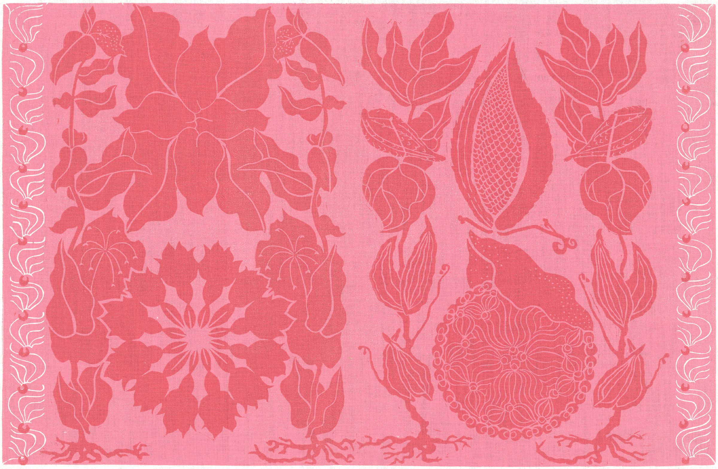 Pigeon Hill Milkweed